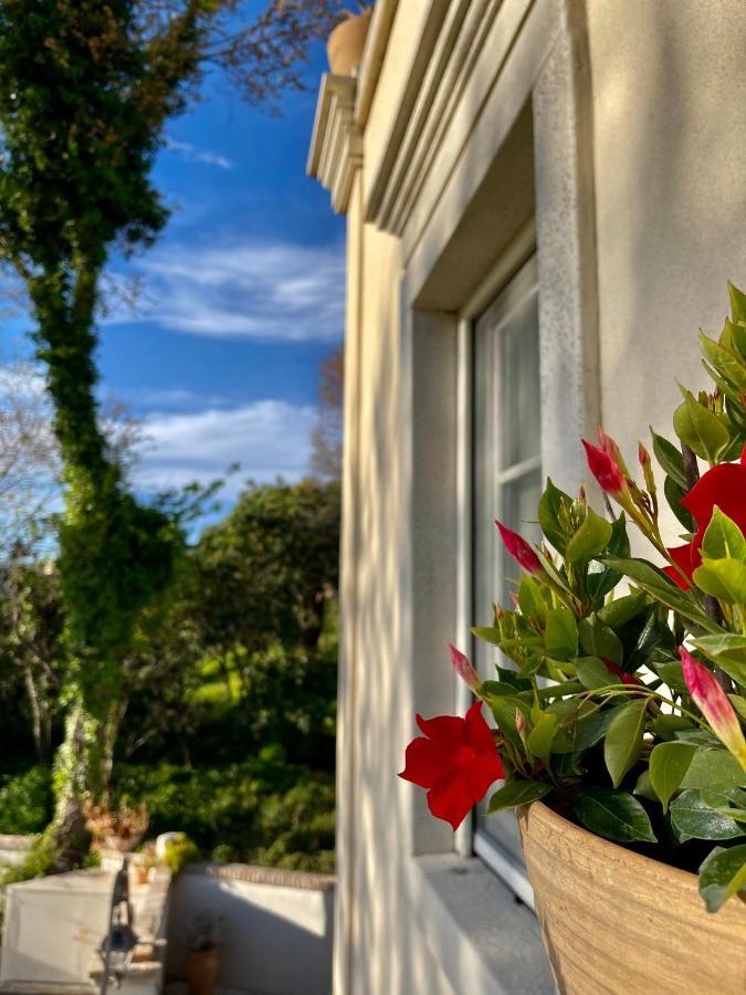 Carpofoli Corfu Lägenhet Corfu  Exteriör bild