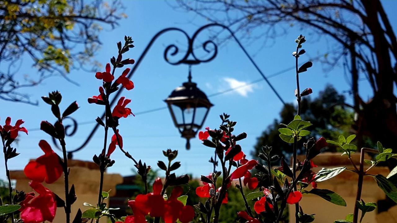 Carpofoli Corfu Lägenhet Corfu  Exteriör bild